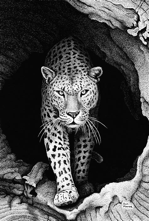 Leopard In A Log By Ronmonroe On Deviantart Leopard Art Leopard