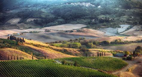Vineyards Of Terricciola Tuscany Italy By Paolo Deri On 500px