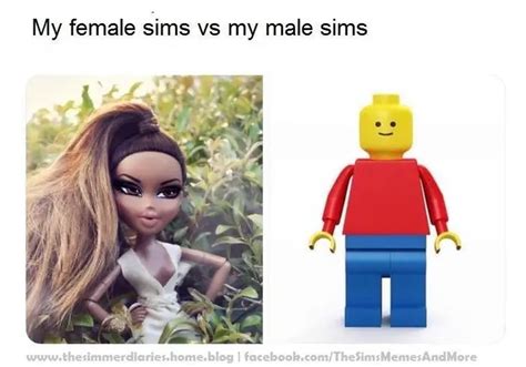 Sims 4 Meme House