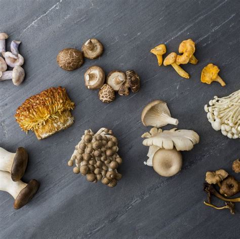 Why Eat Mushrooms ~ Mary Collis Nutrition ~ Food Facts