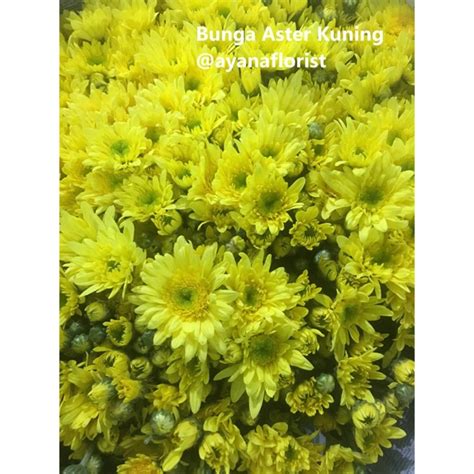 Check spelling or type a new query. Download Gambar Bunga Aster Kuning