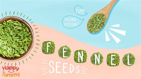 Top 10 Health Benefits Of Eating Fennel Seeds Saunf Happytummy
