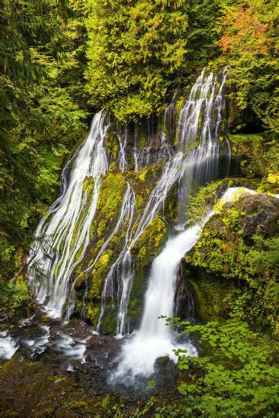 Framed Print Panther Creek Falls Ford Pinchot National Forest