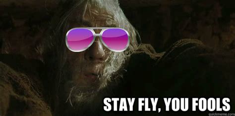 Stay Fly You Fools Cool Gandalf Quickmeme