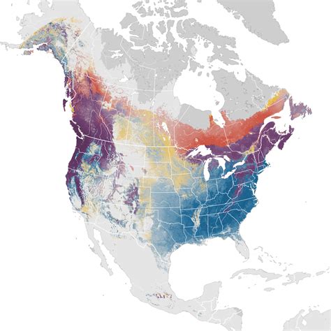 Golden Crowned Kinglet Abundance Map Ebird Status And Trends