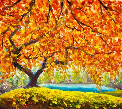 Big Autumn Tree Near The River Gold Red Orange Autumn Leaves