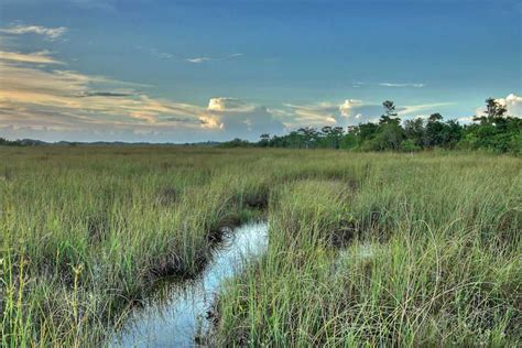 Glades Marsh Climate Adaptation Explorer