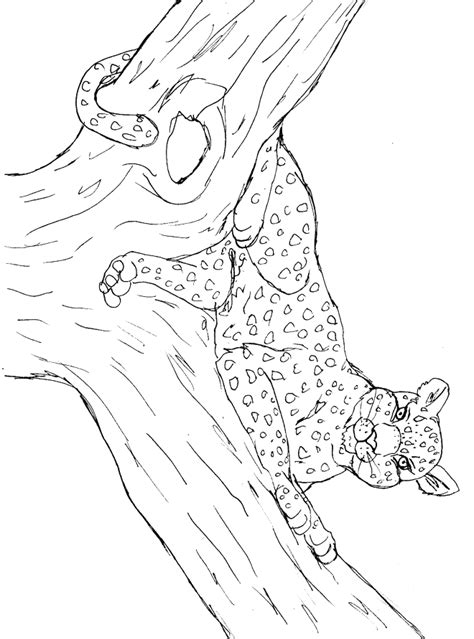 Leopard Pictures To Print Coloring Home