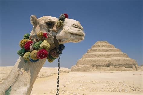 That, says whitney johnson, director of visuals and immersive experiences, is the kind of effort that makes for a standout national geographic photo. Ancient Egypt | National Geographic Society