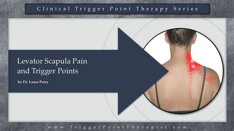 Levator Scapula Pain And Trigger Points Youtube