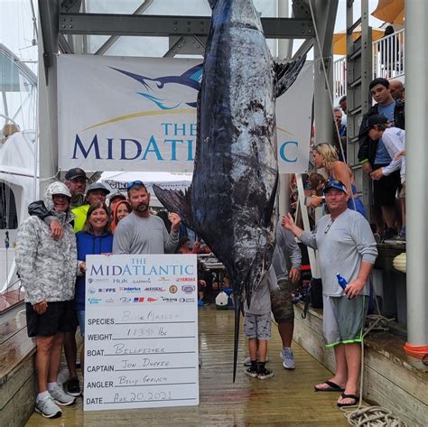 Th Midatlantic Wraps Up With Potential State Record Blue Marlin