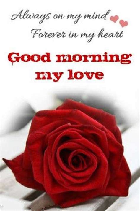 Good morning my love quotes and images. Good Morning Quotes: Forever My Heart My Love Good Morning - BoomSumo Quotes