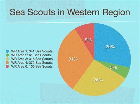 Boy Scouts Of America Membership Numbers Chet Rees