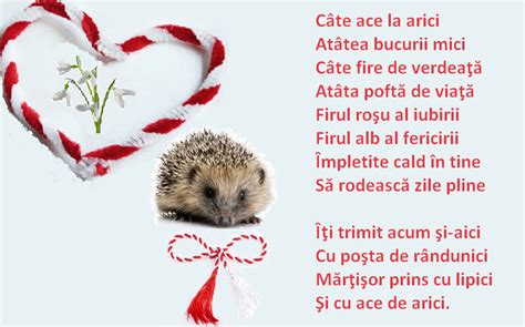 See more ideas about imagini haioase, imagine, pisici. Biblioteca Orășenească "Nicolae Stoica de Hațeg" Băile ...