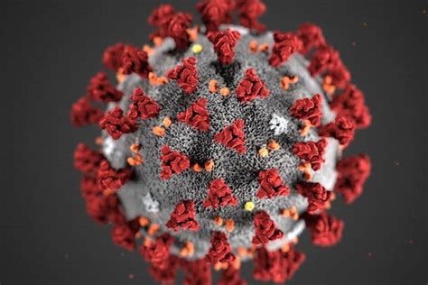 What Is Coronavirus The New York Times