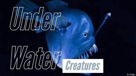 Top Documentary Ancient Sea Creatures Ocean Monsters