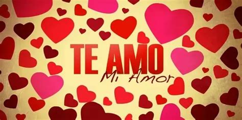 What Does The Spanish Phrase Te Amo Mi Amor Mean In