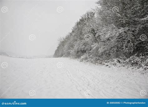 Uk Snowy Field And Forest Stock Photo Image Of Scene 30850082