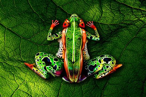 22 Masterful Body Paintings That Disguise Humans As Animals Demilked