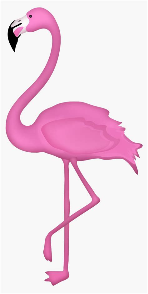 Flamingo Png Clipart Transparent Background Flamingo Png Png