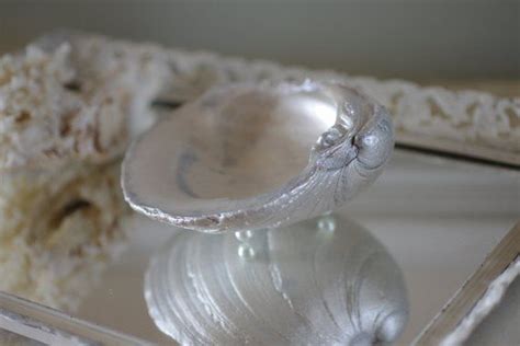 Clam Shell Trinket Dish Soap Dish Oyster Shell Crafts Shell Crafts