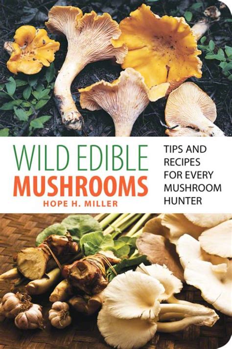 Wild Edible Mushrooms Og1161 1695 Out Grow