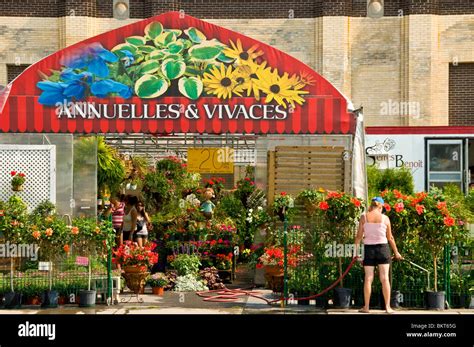 Flower Shop Atwater Market Montreal Canada Stock Photo Alamy