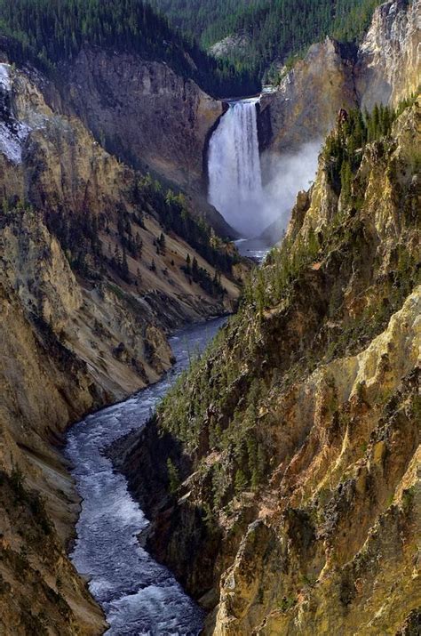 Lower Falls Yellowstone Photograph By Dwight Eddington Fine Art America