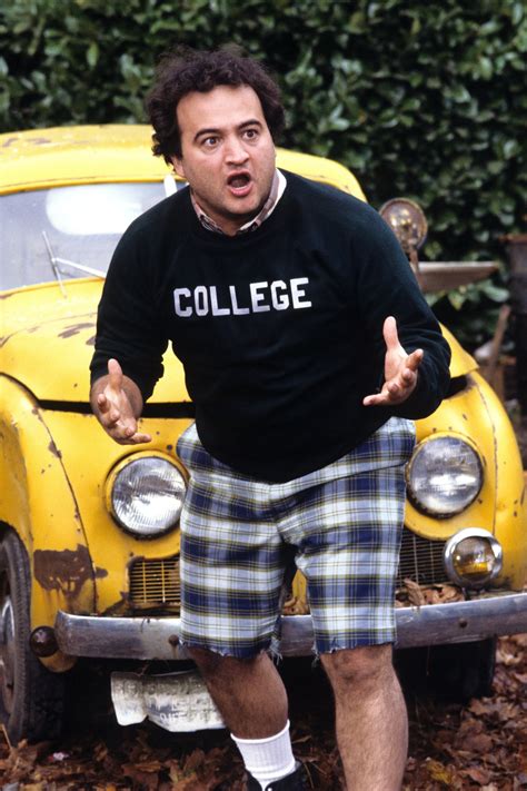 Animal House Wallpapers Movie Hq Animal House Pictures 4k