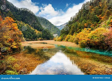 Crystal Clear Water Of River Among Fall Woods In Mountain Gorge Stock