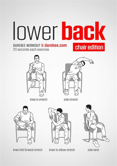 Lower Back Exercises Exercise Office Exercise