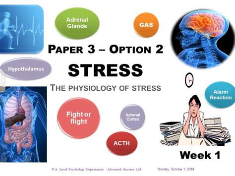 Powerpoint Stress Week 1 The Physiology Of Stress Teaching Resources