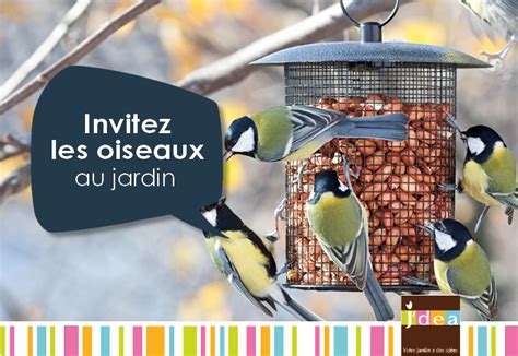5 Conseils Pour Inviter Les Oiseaux Au Jardin Développement Durable