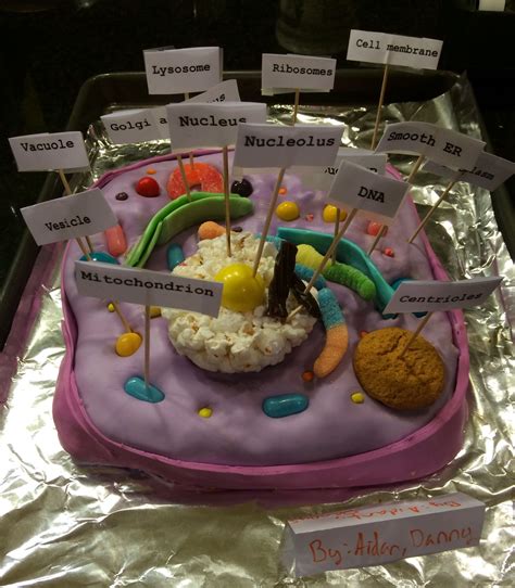 Edible Cell Cake Layered With Fondant Cytoplasm Thx To All The Pins