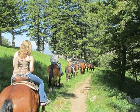 The 10 Best Wyoming Horseback Riding Tours Updated 2024