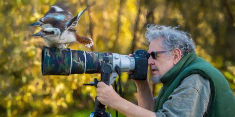 Bird Photography Tips And Techniques Steve Parish Nature Connect