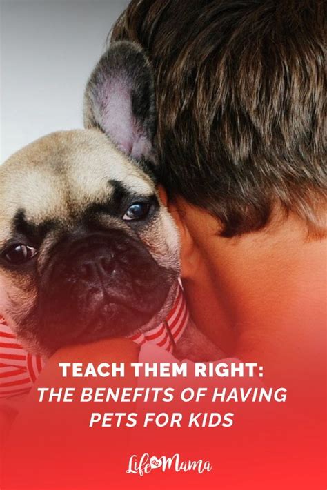 Teach Them Right The Benefits Of Having Pets For Kids Animals For