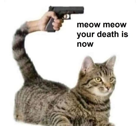 Meow Meow Your Death Is Now Blank Template Imgflip