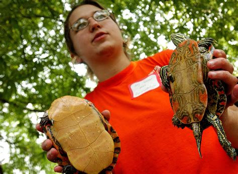 Tools Used By A Herpetologist Sciencing