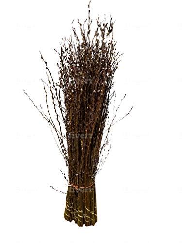 Top 10 Pussy Willow Branches Artificial Flowers Peypia
