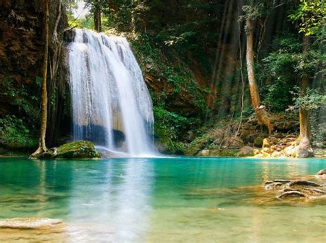 Plages, paysages, villes, célébrités, voitures, cinéma. Fond d'écran Animé d'une Cascade Tropicale - Télécharger