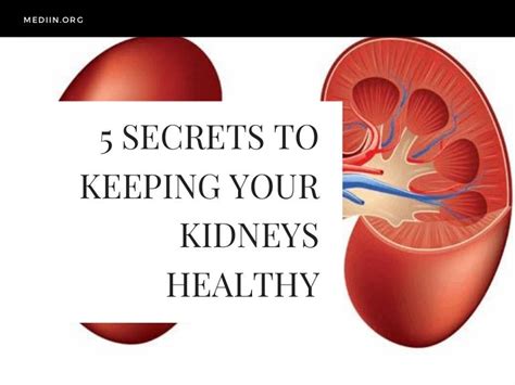 5 Ways To Keep Kidney Healthy