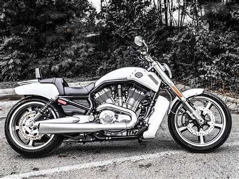 2016 Harley Davidson Vrscf V Rod Muscle D49 Cr Ice Prl Dlx