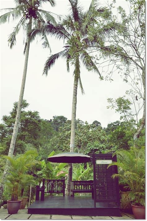 Janda baik, pahang, malezya 27 otel, 537 yorum, 1.266 resim ve en iyi fiyatlar. Aman Rimba - Janda Baik | Pahang, Beautiful places in the ...
