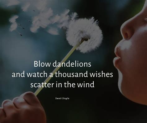 Haiku  Nature as a poet  Nature Connections