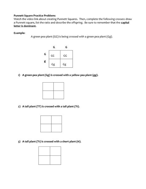 Punnett Square Worksheets With Answers
