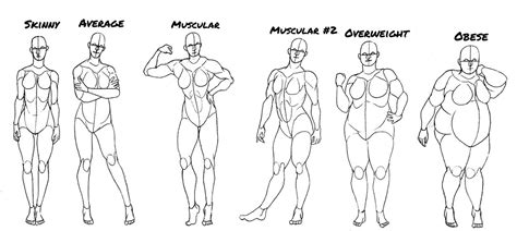 basic female body types by artsyarctictiger on deviantart