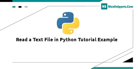 Read A Text File In Python Tutorial Example