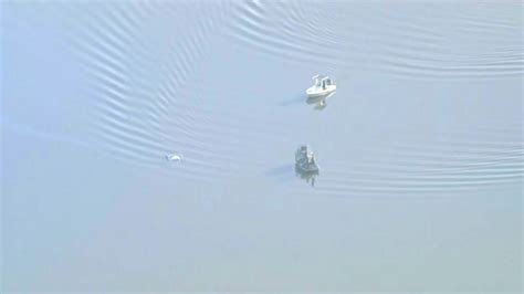 Pilot Rescued After Helicopter Crashes Into Lake Apopka