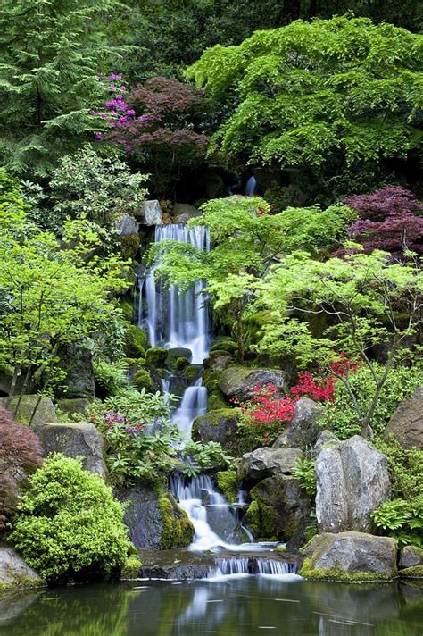 158 Best Images About Japanese Gardens On Pinterest Gardens Cherry